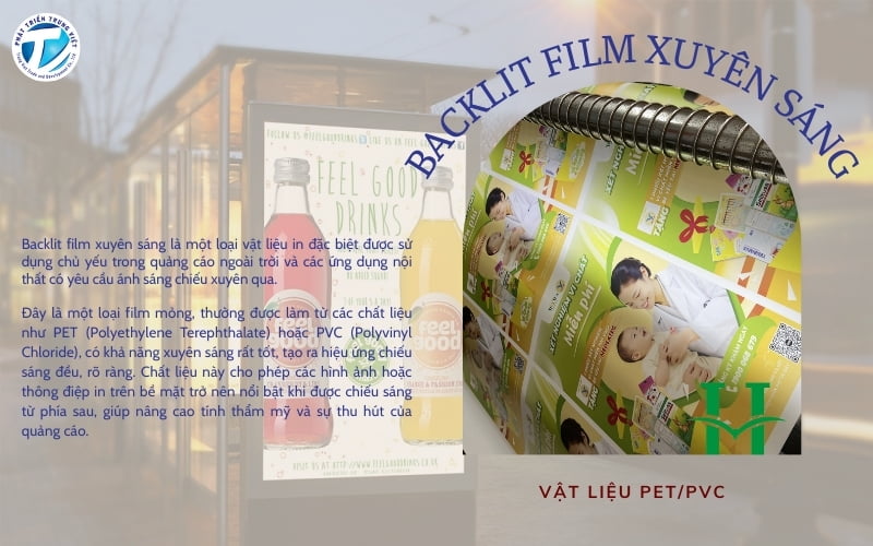 Khái niệm backlit film xuyên sáng